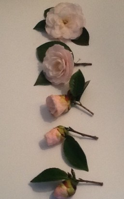 01ad0d2a675d5d570a439fee10fbb348d737e48113