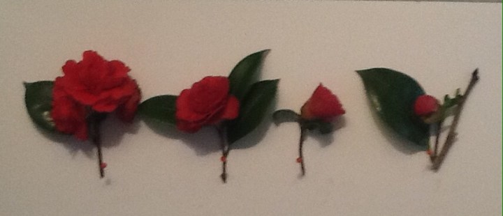 01b36b436984d70e0db7e9a31dfb95f1fb00c75f1c