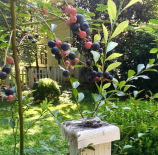 5F27E495-27E6-497D-8D88-E9DD9BCB4E31