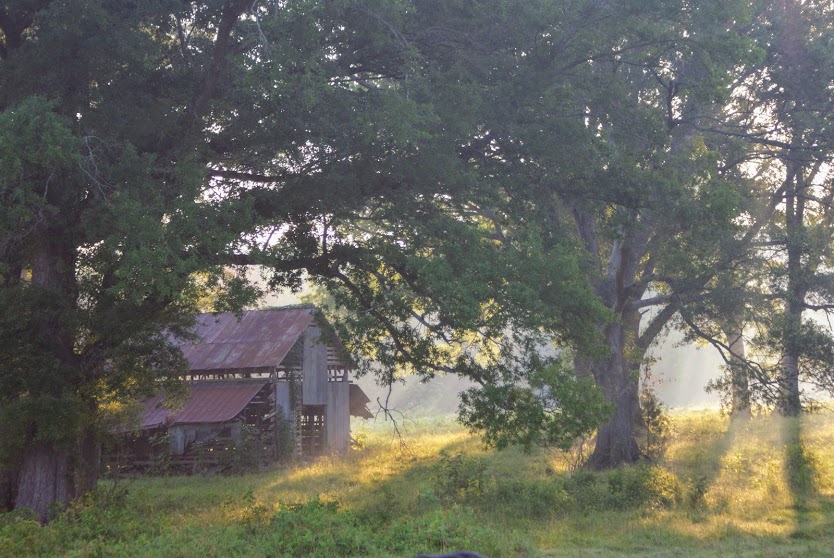 barn jeremy 28