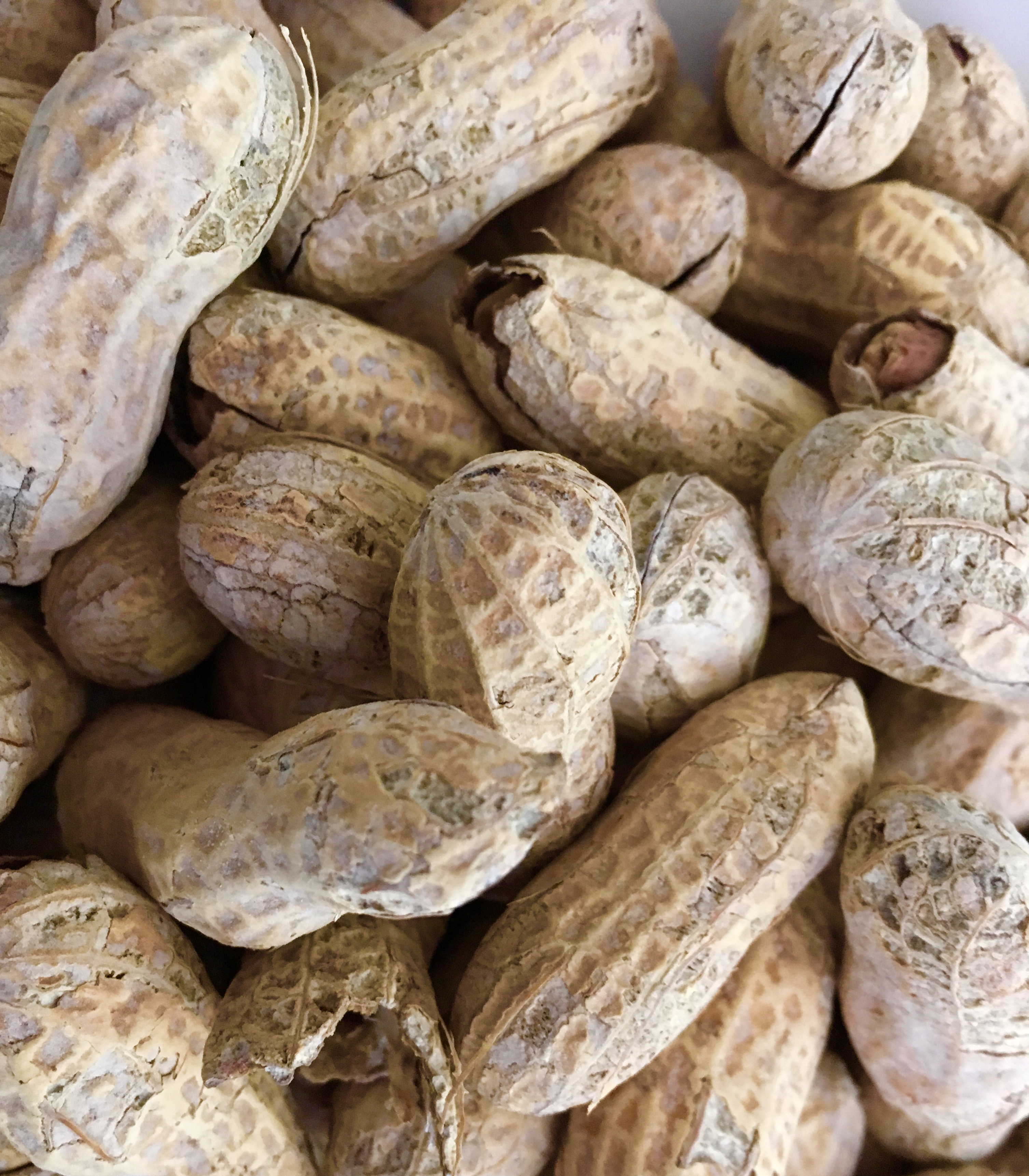 Parched Peanuts Camellia S Cottage