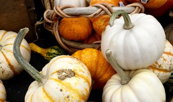 E025EC53-CDFF-46F0-AA1C-F42608981D48