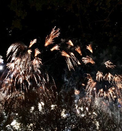 015697A6-E8CC-494B-8D8E-34D6C8F599C9