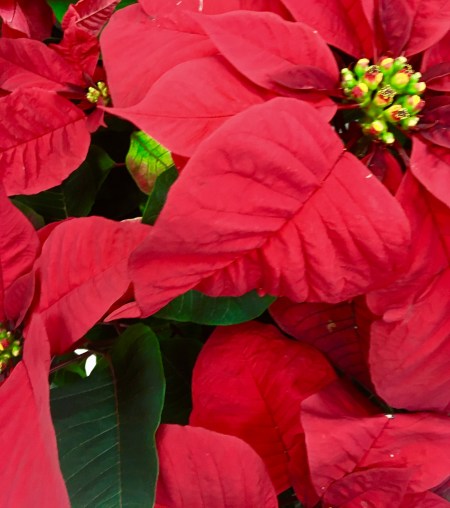 2189CBC5-F185-49B0-8546-8423A8B8BFF8