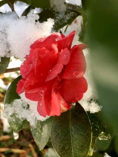 4FC1371E-0D37-4EDB-B8CA-03EBC1171094