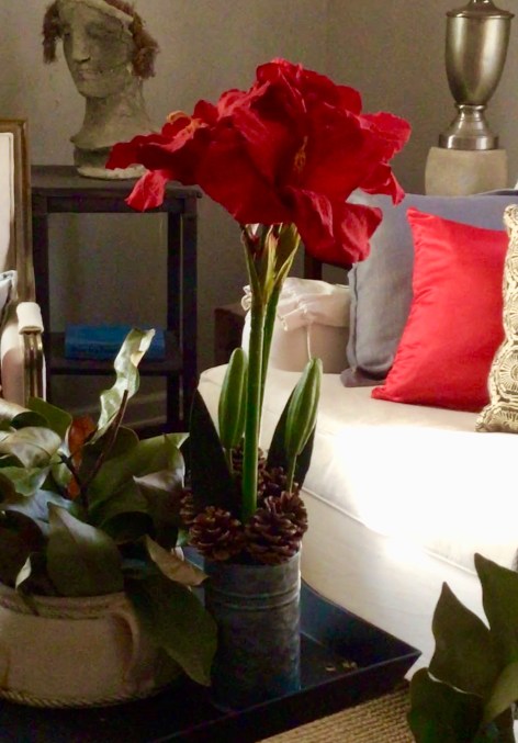 586E3884-4F57-4E51-88C5-75F3EC0E27A0