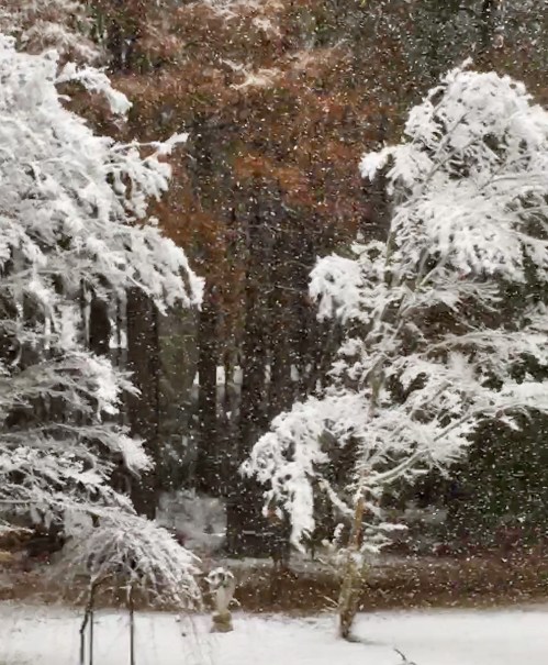 6F441F2C-ABA3-48DA-B1FE-0E76B07D7BA2