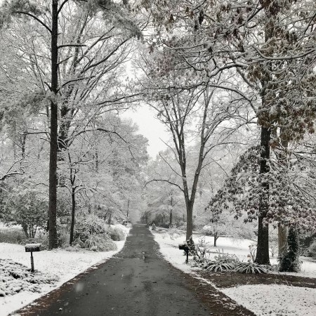 7509D960-330C-443B-9B02-2FA5F6618E35