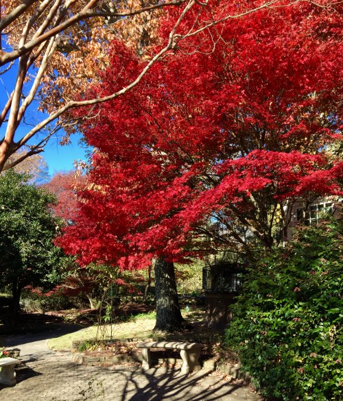 B9B787AF-EE4D-4266-A8C1-42B991B53C35