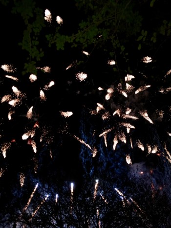 EA3E422F-91E4-4F4E-9E4F-F85651A32AC0