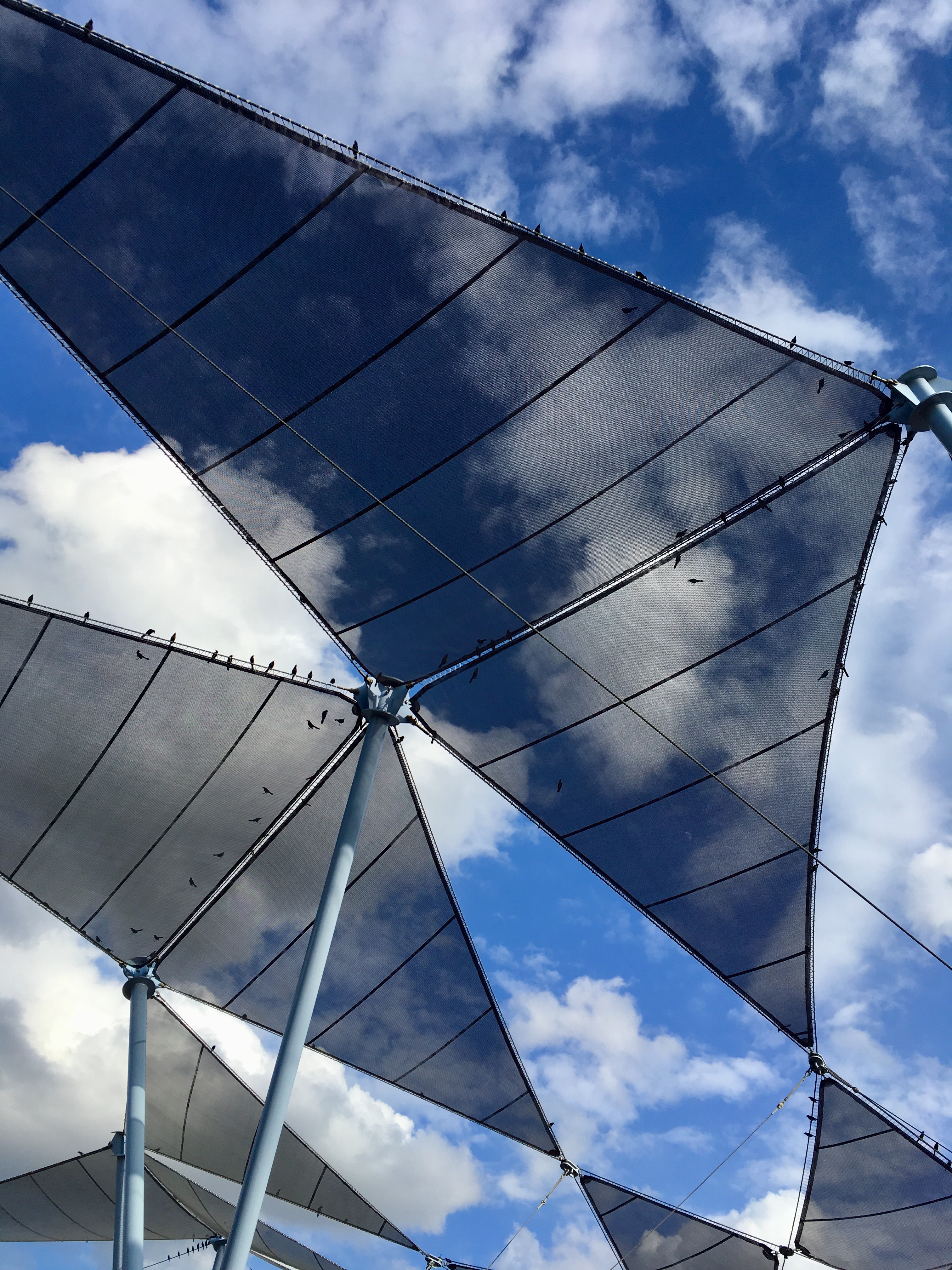 0C77B8ED-AA6A-4E87-9CAB-943A6EBBE3F2