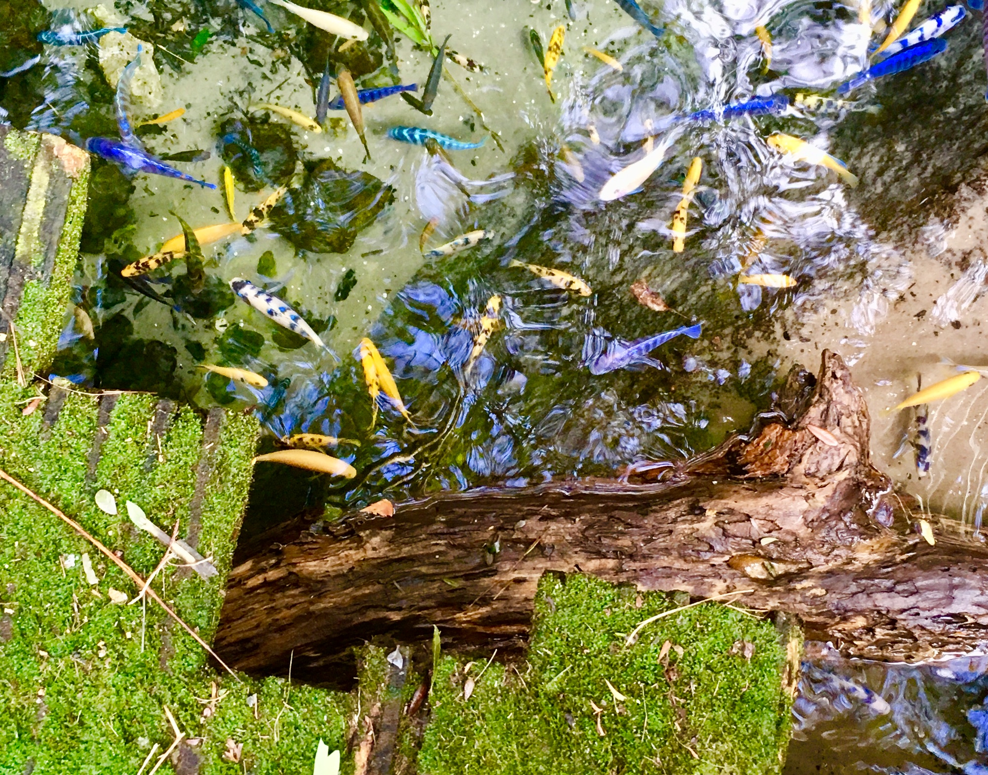 D8C828F2-C078-4502-8559-DDD60B6FC4FB