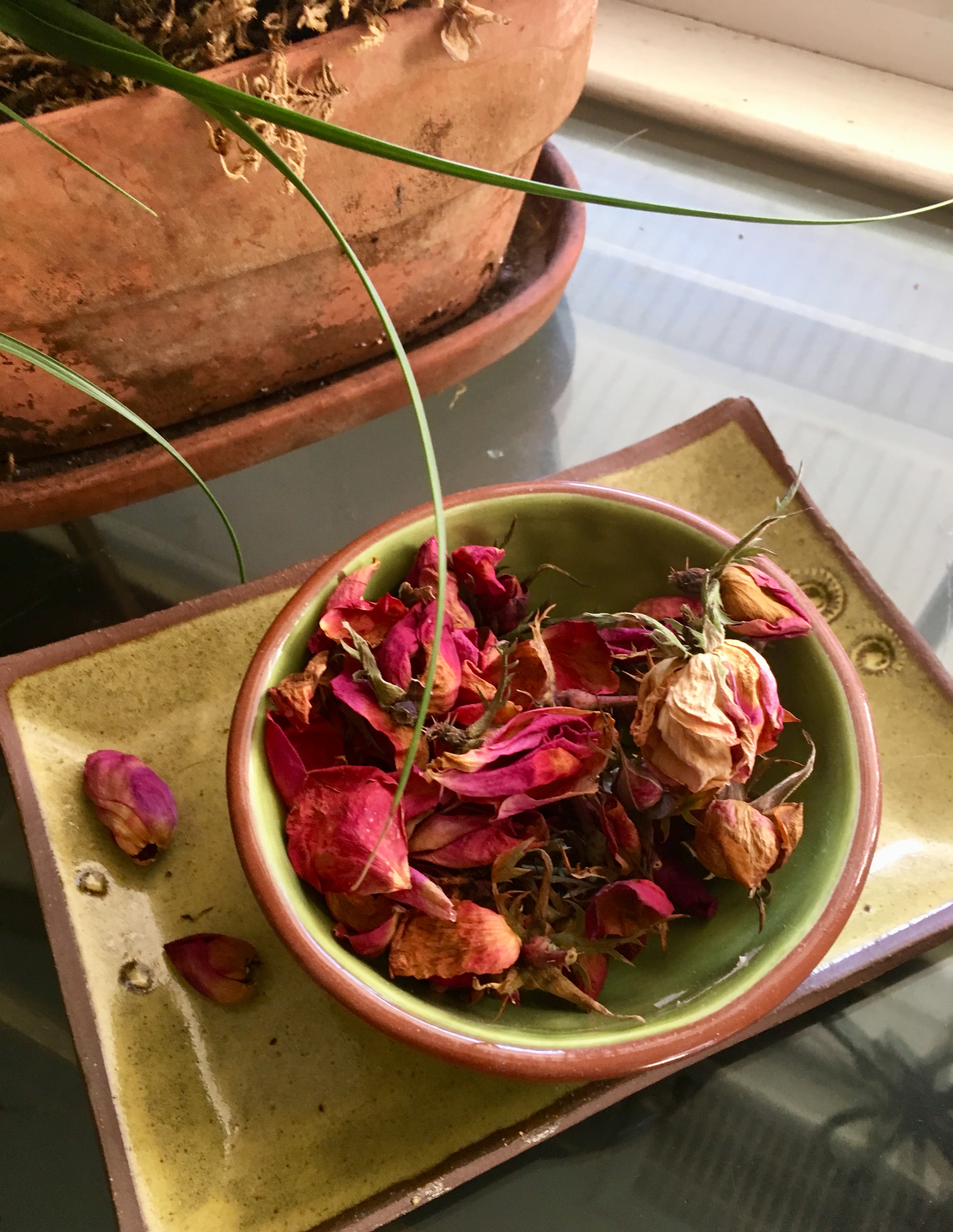 F7E34875-1EC4-41BA-B449-FEF066E9BF5F