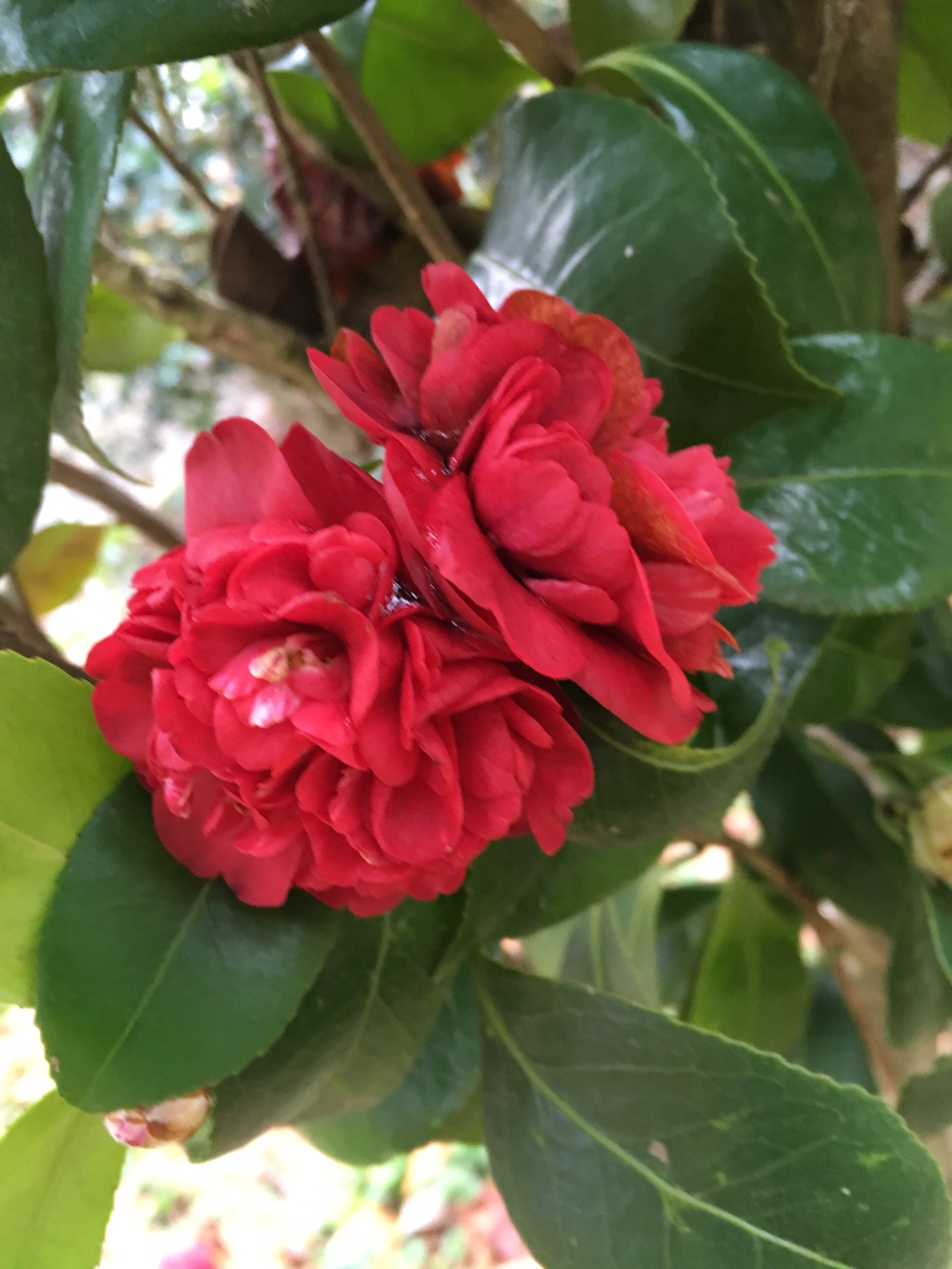 348EC34B-4A6B-4662-9D3D-F64072D783F5