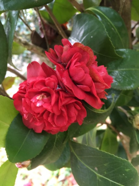 348EC34B-4A6B-4662-9D3D-F64072D783F5