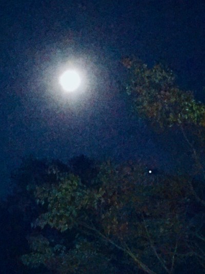 3B137700-D079-4228-9756-CD410CB4DB41