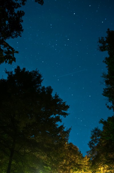 633AC820-1847-4301-B661-EDFD31E891C5