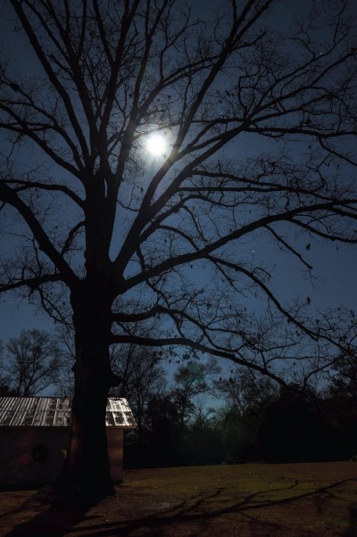 88BC61EA-42D0-4883-B449-F41012599B9E