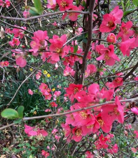 BA4C50A3-9B7B-4E25-9B76-115643026FEB