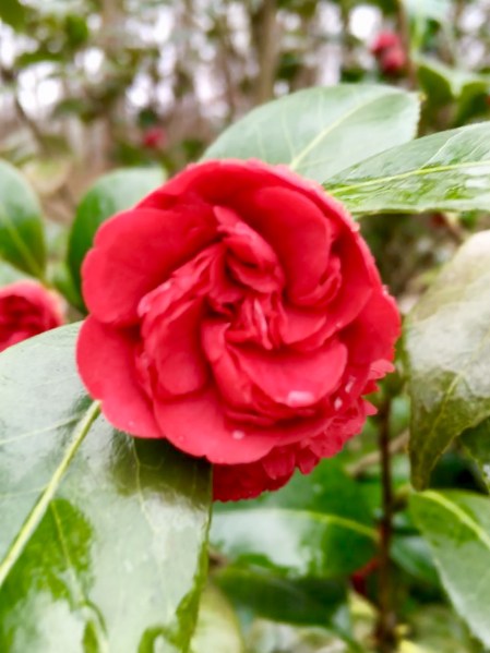 BB986053-2EBF-48F7-A4BB-DEAA976AA459