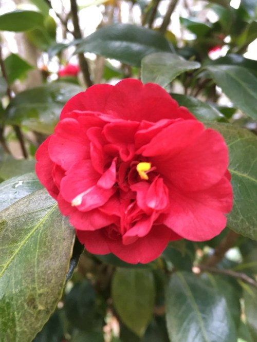 DCAF6AD6-099C-43C6-9695-6A9A625F6DB1