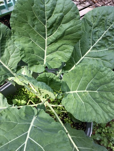 594FBE2F-FF5D-43D2-ACA6-21FC4B6E6D7B