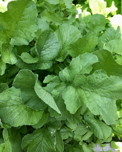 E20F6EDB-B78F-476E-A573-90E84B601147