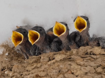 0A6F795E-CDE0-459B-9C00-026306A1C4AF