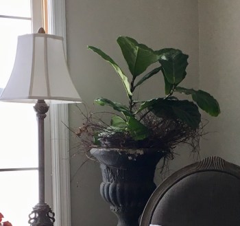 0BA659CE-DBF4-418E-969B-B08142109C1F