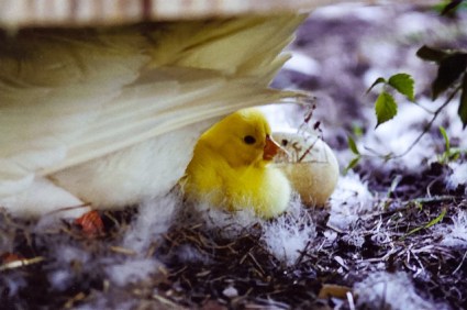 1A725CC6-F9B2-4CBA-8086-716A70D69813