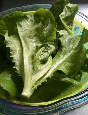 23B20B84-640A-4BB2-8780-C3660E959A34