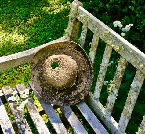 336F7848-F827-4504-BBFD-CB6DA2CB3C82