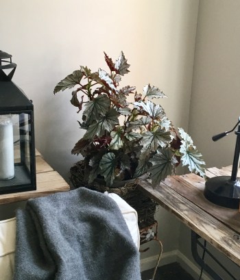 3B97FD25-91F1-4922-A848-03BC73E7A9BC