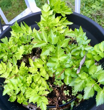 55A65A09-CC77-4F80-AE40-0EFAACF394C5