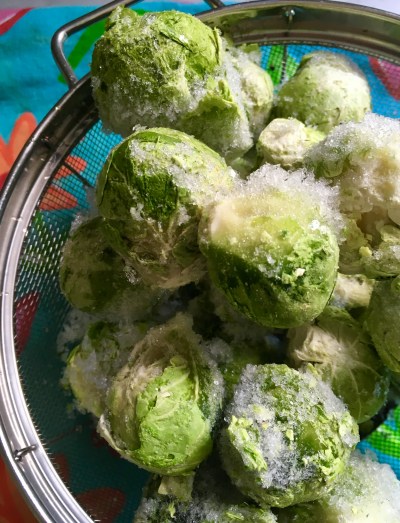 9E263837-172A-44A6-A98B-EB4C0724551E