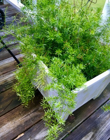 C641536F-608A-4106-8864-77C83FC16886