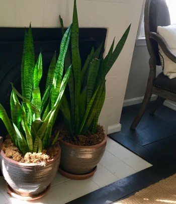 F3586D2F-87DD-46FB-AA85-4A856C817452