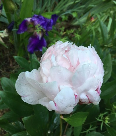 F85DFF31-7C5F-48C2-9A0F-8FC25495CCED