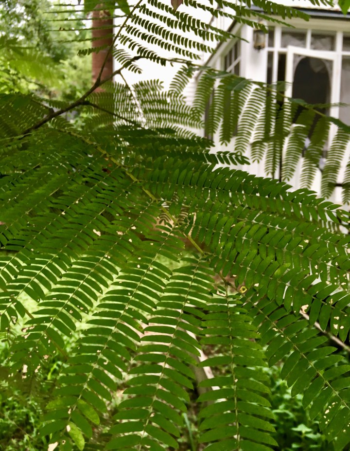 13B44B76-0C30-4A74-B0F3-545A80506EFB