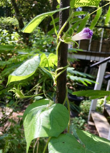 2CA12AE5-AEE0-4B44-8F90-2D8991616A7E