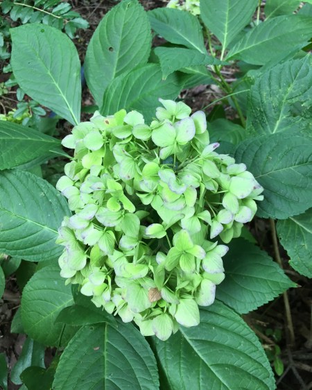 87F1B149-CA3A-4654-81D4-5417384F49D7