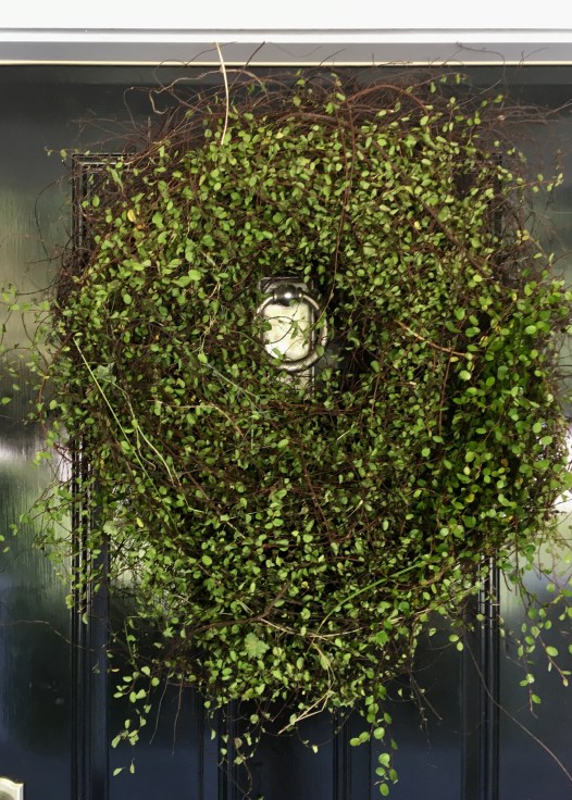 F81C0824-BDC4-490C-9955-972A1041A154