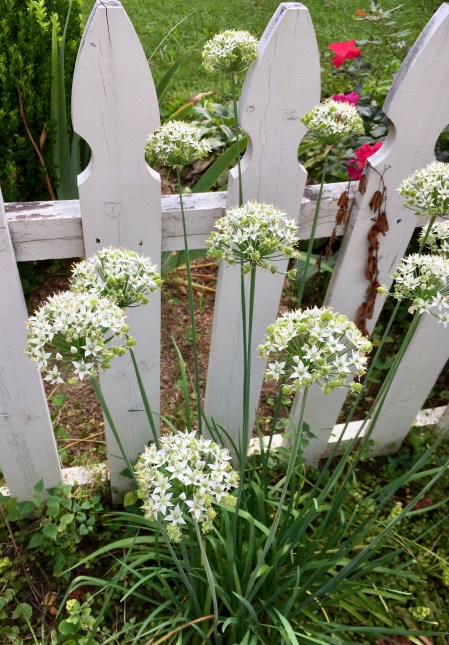 29723B1F-8E89-4C24-995D-EDDE1D6748BA