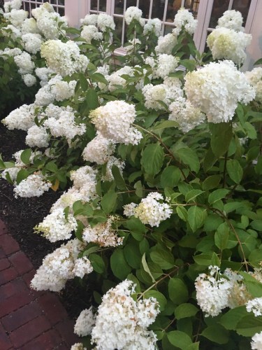 4D324BC7-B05A-49A9-AB7C-7C77AC5597C1