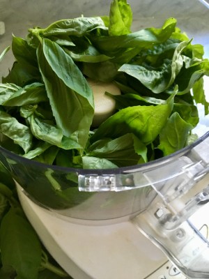 74413BE2-4BF9-4D7F-A18F-ABE91915702B