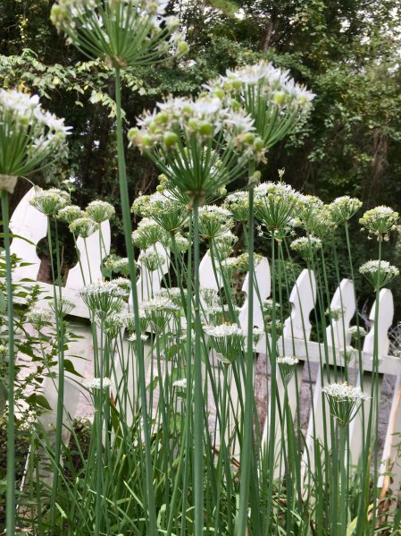 9083E24B-D7B1-470C-8CB0-B60206ECF8F0