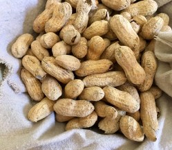 9805E26D-6241-459B-8DEE-F5B1A2AFBBA0