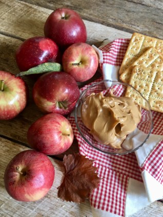 A406F262-7E0F-4C7D-9EA5-7BCB288C33DA