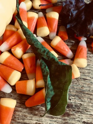 18741288-56A6-47DC-BC09-0CD18C6720D8