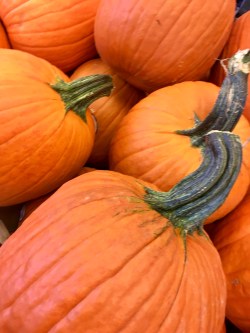 7FF6A75D-BACC-4F30-9D34-ADC866642DEA